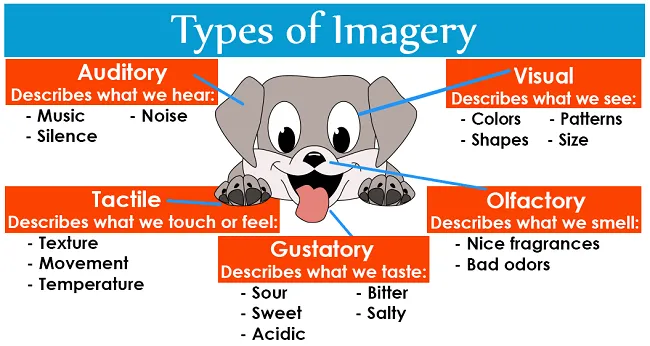 different-types-of-imagery.webp