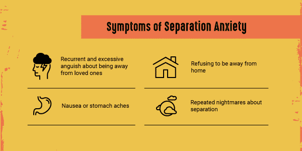 separation-anxiety-disorder-symptoms.webp