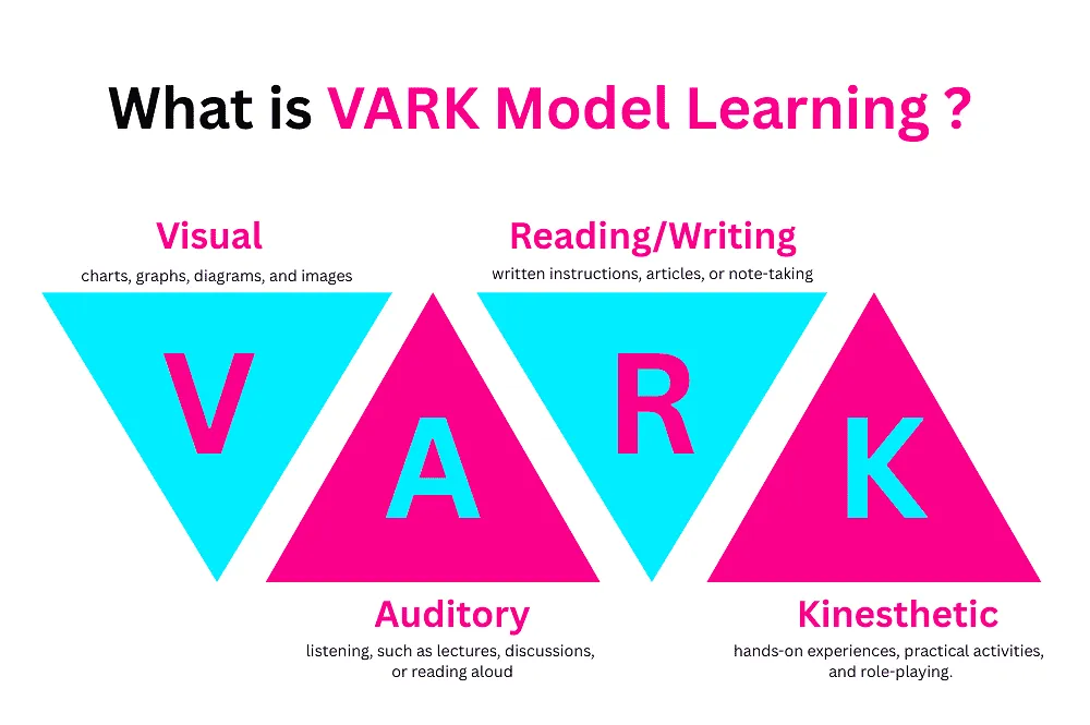 Vark Learning Model