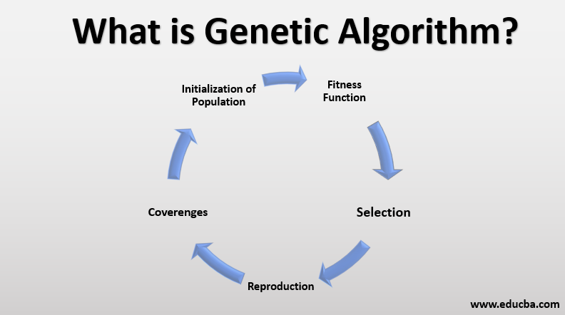 Genetic Algorithms Optimization Assignment