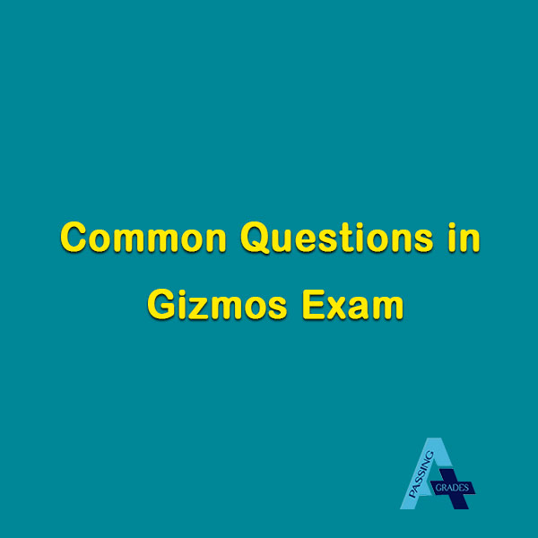 Common Questions in Gizmos River Erosion Questions