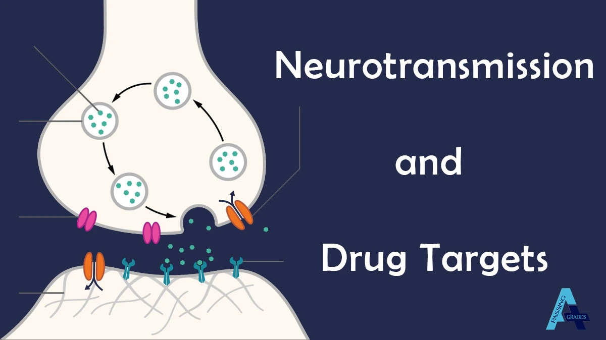 Neurotransmission and Drug Targets: A Q&A Guide