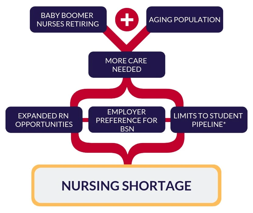 Healthcare Issue: Nursing Shortage